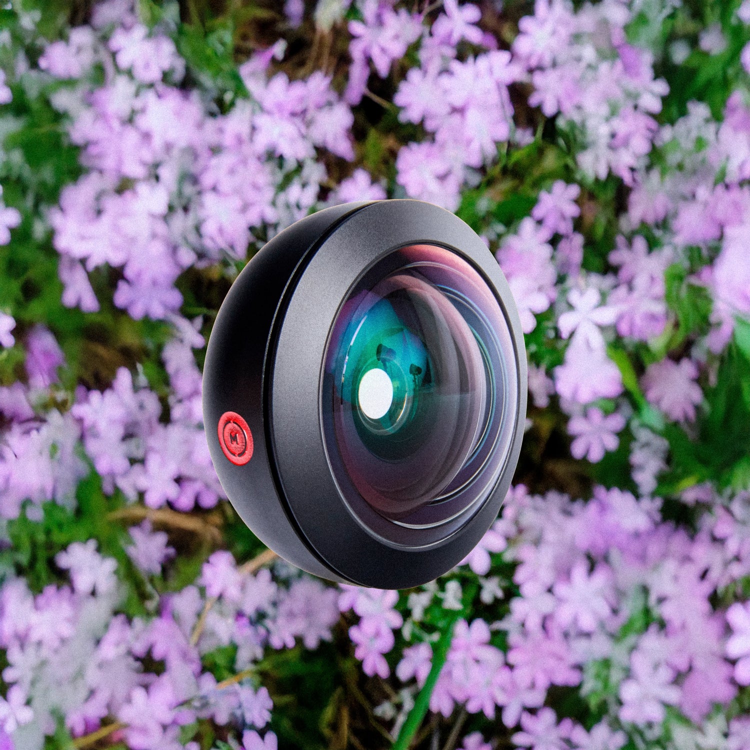 Moment T-Series Mobile Lens II Fisheye 8mm